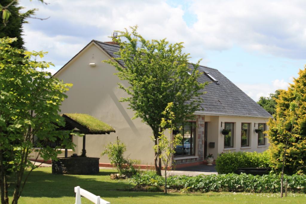 Palmgrove Bed & Breakfast Listowel Zewnętrze zdjęcie